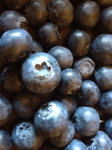 Grow your own blueberries? I don't mind if I do!!